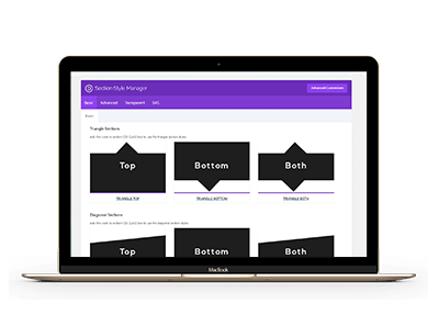 Section Style Manager Pro
